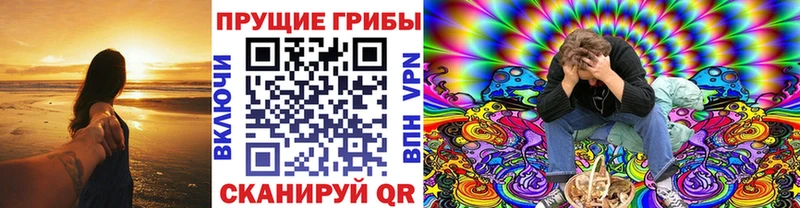 Псилоцибиновые грибы GOLDEN TEACHER  Магнитогорск 